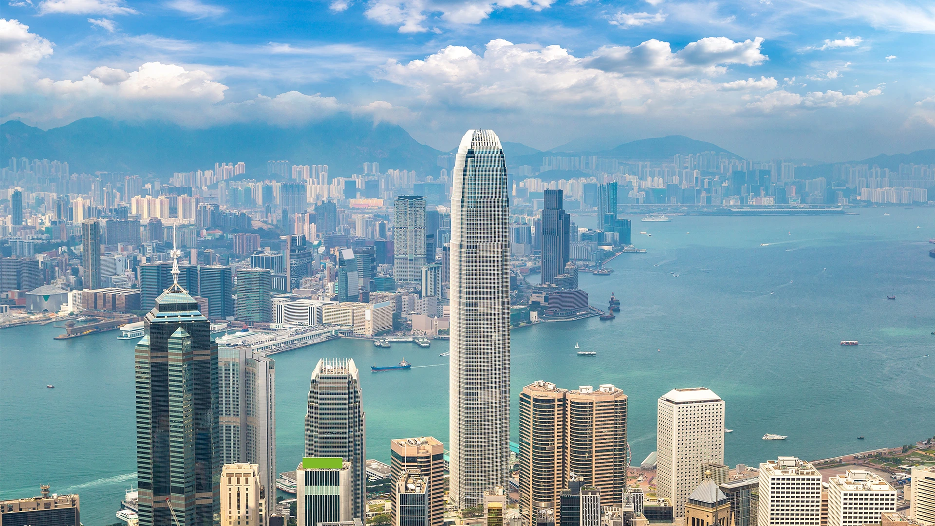 d_banner-forest-road-a